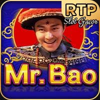 Mr.Bao