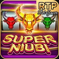 Super Niubi